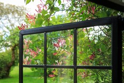 Field House int window with honeysuckle 1200x800