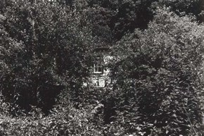 frenchmanscreek-history-hiddenintrees-600x400