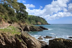 Kingswear coastline 1200x800