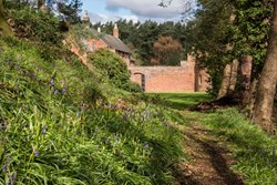 Knowle Hill ext through woodlands 1200x800