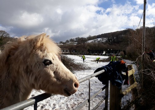 llwyncelyn-updates-winterwork-450x321