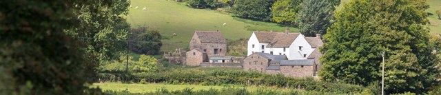 llwyncelyn-exterior-view-trees-1600x345
