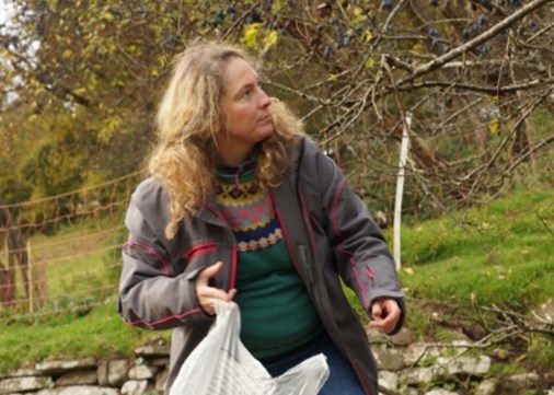 llwyncelyn-artistinresidence-clareepotter-450x321