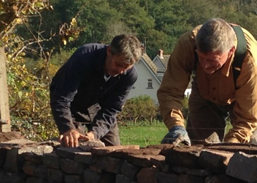 llwyncelyn-community-hedgingwalling-450x321