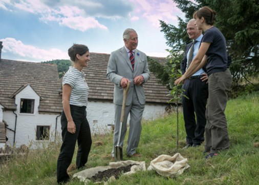 llwyncelyn-updates-hrh-450x321
