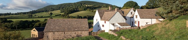 Llwyn Celyn 3200x690