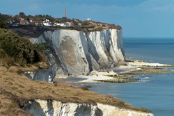 Mayor's Parlour white cliffs 2 1200x800