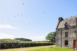 Old Place of Monreith ext with birds 1200x800