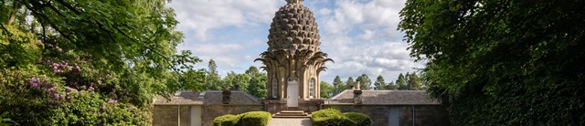 The Pineapple rear hero 3200x690