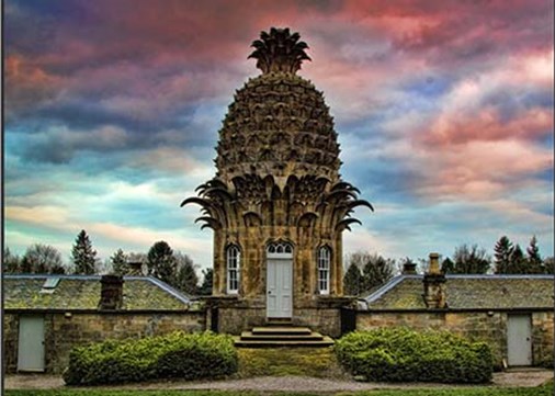 Pineapple-exterior-main-450x321