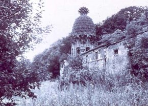 pineapple-restoration-before-600x400