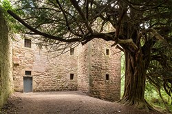 Rosslyn-Castle-Exterior-with-tree-600x400