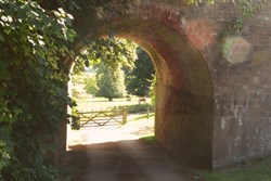 Silverton Park Stables bridge (10)