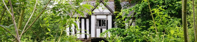 Views of St Winifred's Well