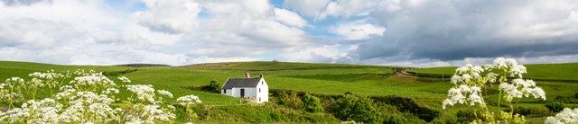 TangyMill-exterior-withcowparsley-1600x345