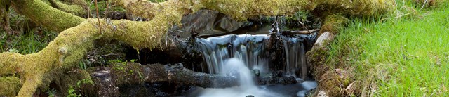 Tycoch-exterior-waterfall-1600x345