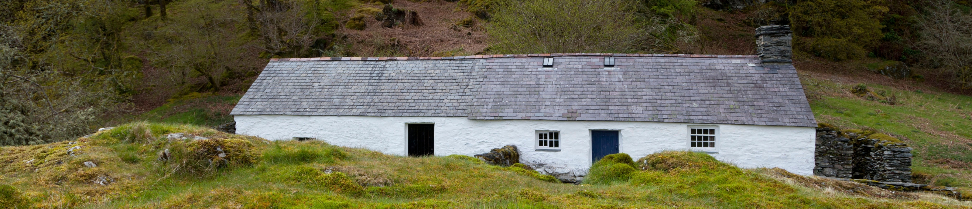 Ty Uchaf image
