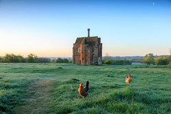 warden ext chickens 1200x800