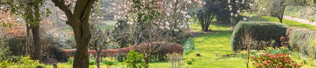 A garden in spring bloom
