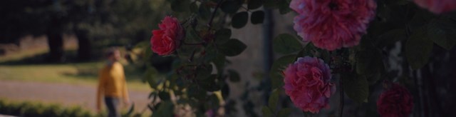 07 edited the dead flower out 1600 x 410