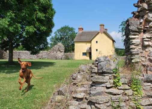 Stogursey-exterior-dogs-450x321